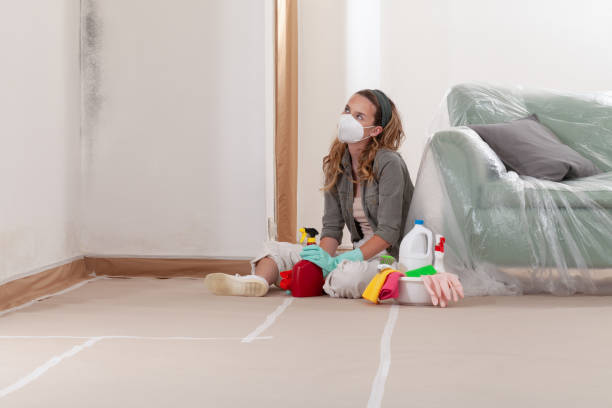 Reliable Mold Remediation contractor in Holbrook, NY by 24 Hour Mold Removal